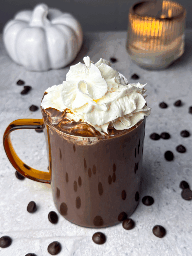 Dark Chocolate Hot Chocolate (Best Homemade Recipe)