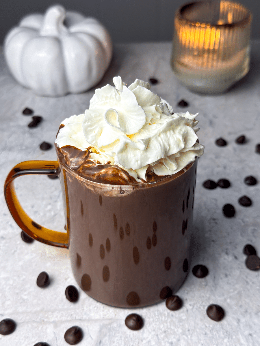 Dark Chocolate Hot Chocolate (Best Homemade Recipe)